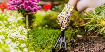 7 Things You Need to Do in Your Garden in Spring